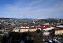 Container ships shuttling Arctic route between China and Russia carry car components, says Chinese shipper