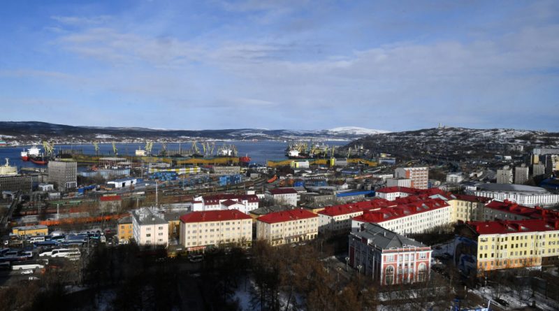 Container ships shuttling Arctic route between China and Russia carry car components, says Chinese shipper