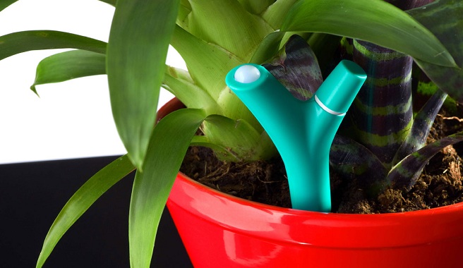 Parrot-Flower-Power