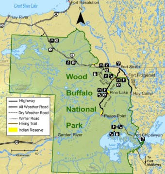 wood-buffalo-national-park