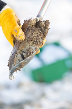 iStock_000026195525Small