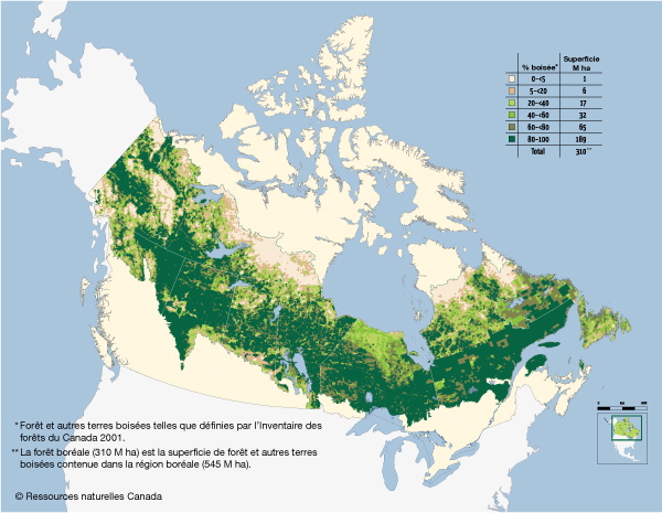 Les forêts boréales canadiennes en vert foncé ici sur la carte s’étendent en un immense arc de cercle de plus de 1000 km de large et de plus de 3 000 km de long qui va de la frontière du Yukon à l'ouest jusqu’à la région de Terre-Neuve-et-Labrador à l’est.
