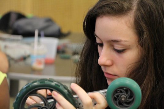 (Crédit photo:  Université York)