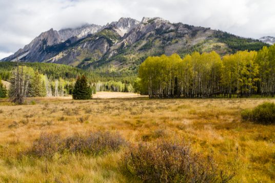 Une prairie dans le Parc national de Banff.  (Crédit photo: iStock)