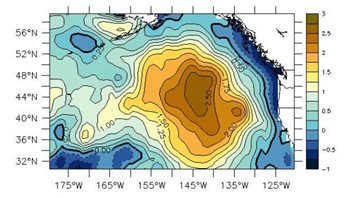 Le Blob, masse d'eau plus chaude au large de la côte ouest canadienne  Photo :  National Oceanic and Atmospheric Administration