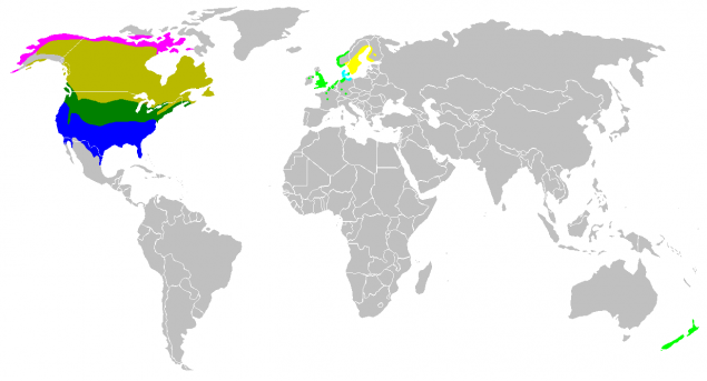 Carte de répartition de l'espèce
