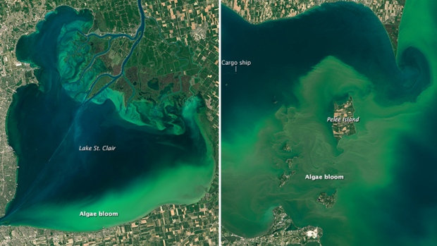 Cette pollution se métamorphose en prolifération d'algues bleues ajoute beaucoup de couleurs à nos grand lacs par exemple comme dans cette toute récente photographie notamment du lac St-Clair dans la région des Grands Lacs. Mais elle finit sa course dans nos océans et donne naissance à des zones mortes.