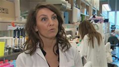 Francesca Cicchetti, chercheuse en neurobiologie à l'Université Laval Photo : ICI Radio-Canada