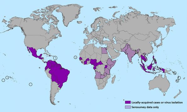 Les pays affectés en mauve - Center for Desease Control.