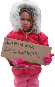 http://www.feedingnunavut.com/