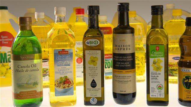 L’huile de canola, une huile végétale très prisée. © radio-Canada