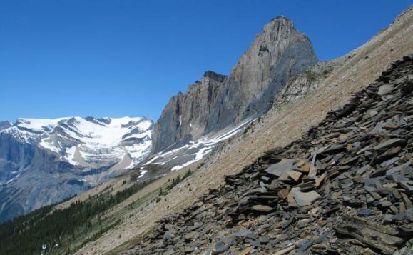 Les schistes de Burgess sont un ancien plancher océanique exposé à la surface à 2 336 m d'altitude dans le parc national Yoho. (Parcs Canada)