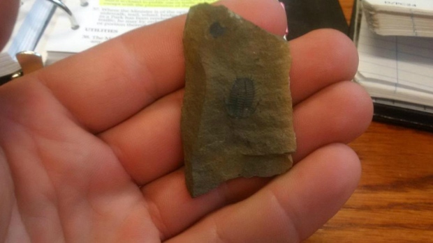 Fossile de trilobite (Parcs Canada)