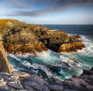 Réserve écologique de Mistaken Point (UNESCO)