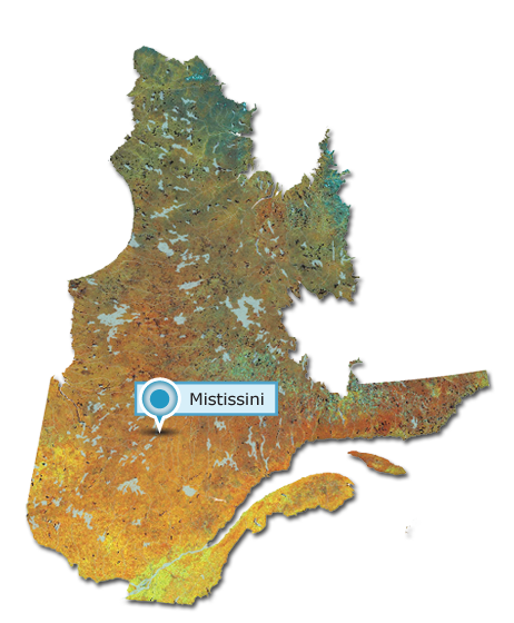 (Profil des communautés autochtones au Québec)