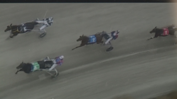 Image prise au-dessus des chevaux et de leurs jockeys par un drone (CBC)