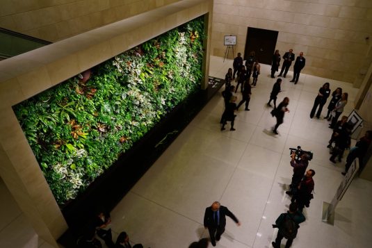 Le mur vert à l'entrée de la rue Sparks, produit de l'oxigène et améliore la qualité de l'air dans l'édifice