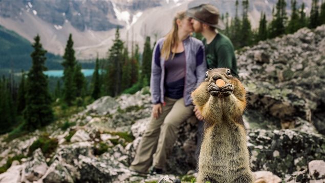 L'Organisation des Nations-Unies a décrété 2017 l'année du tourisme durable. Le Canada sera en 2017 l'endroit idéal pour tester cette initiative. Photo Credit: B.D.F.K. Photography 