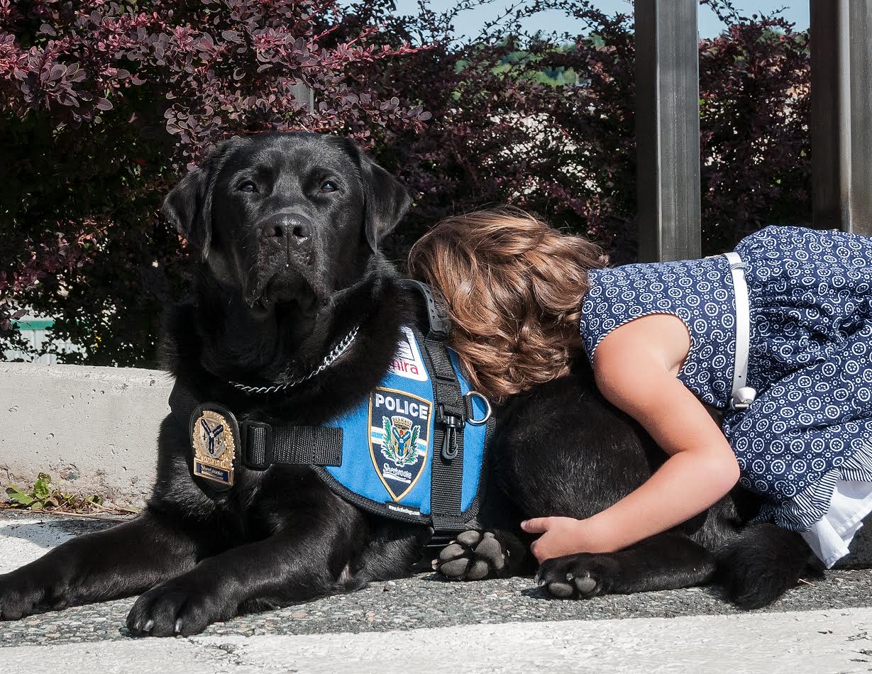 Voici Kanak, le premier chien de soutien émotionnel du Québec RCI Français