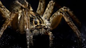  Photo : iStock