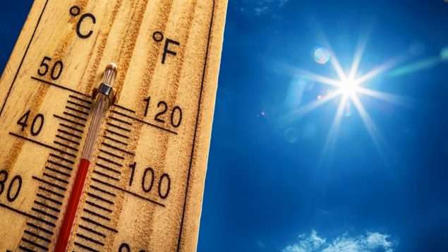 Le monde vit de plus en plus de périodes de canicule. Photo : iStock