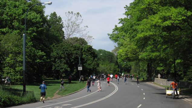 Park Drive, Central Park - Photo: Wikipédia