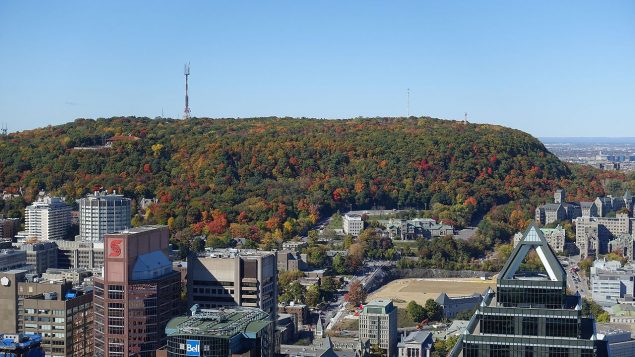 Le mont Royal est en fait une colline qui domine la ville de Montréal, au Québec. Il s'agit de l'une des dix grandes collines montérégiennes situées sur la grande plaine dans le sud-ouest de la province. Le mont Royal s'est formé il y a environ 125 millions d’années lors d’une irruption souterraine de magma qui n’a pas atteint la surface terrestre. Il y a près de 10 000 ans, la colline est apparue lors de l’érosion de la plainte par des glaciers.