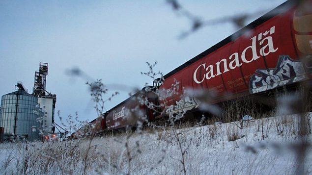 Depuis plusieurs années, des critiques des entreprises ferroviaires dénoncent les retards qu'accuse le transport des céréales. Photo : AFP/Ruth Bonneville/Bloomberg