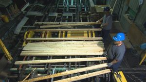 Des employés d’une usine de bois d’oeuvre Photo Credit: ICI Radio-Canada