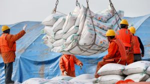 Des travailleurs chinois au port de Nantong transportent des sacs de soya importés. Les États-Unis sont un grand exportateur de cette céréale. Photo : Reuters/China Stringer Network
