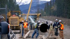 Des travailleurs de la compagnie Kinder Morgan installent au sol des segments de l'oléoduc Trans Mountain. Photo : Kinder Morgan