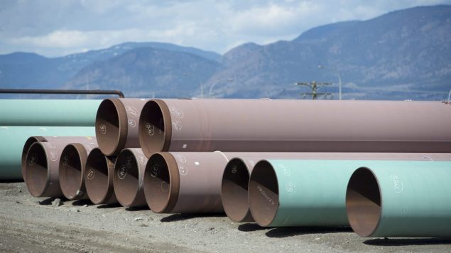 Des sections de pipeline sur les terrains de Trans Mountain à Kamloops, en Colombie-Britannique Photo : Jonathan Hayward/La Presse canadienne