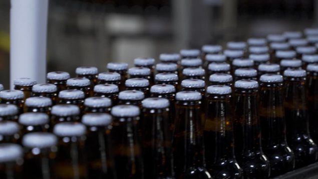 Des bouteilles de bière Molson alignées sur une chaîne de production.