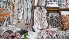 Des poissons disposés sur un étalage dans un marché.