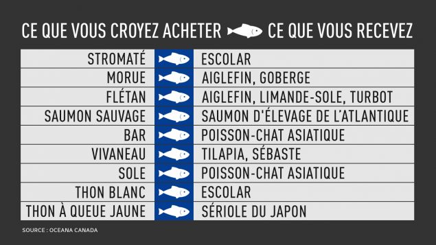 Une liste de poissons frauduleusement étiquetés.