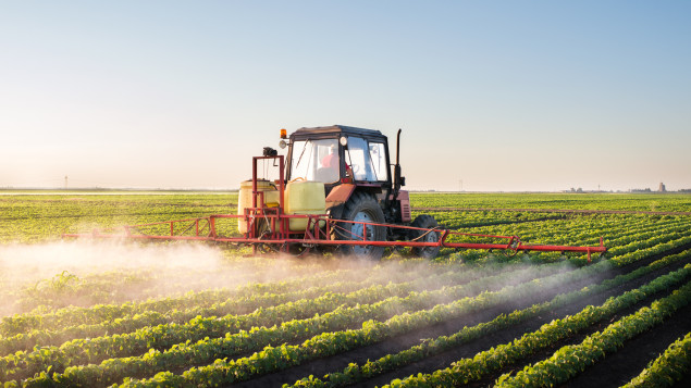 Une fumée blanche se dépose sur des plants de soya sur une ferme agricole.