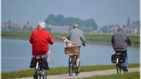 active-bikes-cyclist-264073