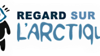regard_arctique