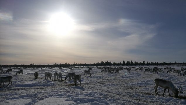 Long format – Construire une ligne ferroviaire dans l’Arctique