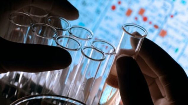 Développer une économie hors hydrocarbures dans des secteurs où l’Algérie possède des ressources sous-valorisées : la bioéconomie, le biopharmaceutique, l’agroalimentaire - Radio Canada