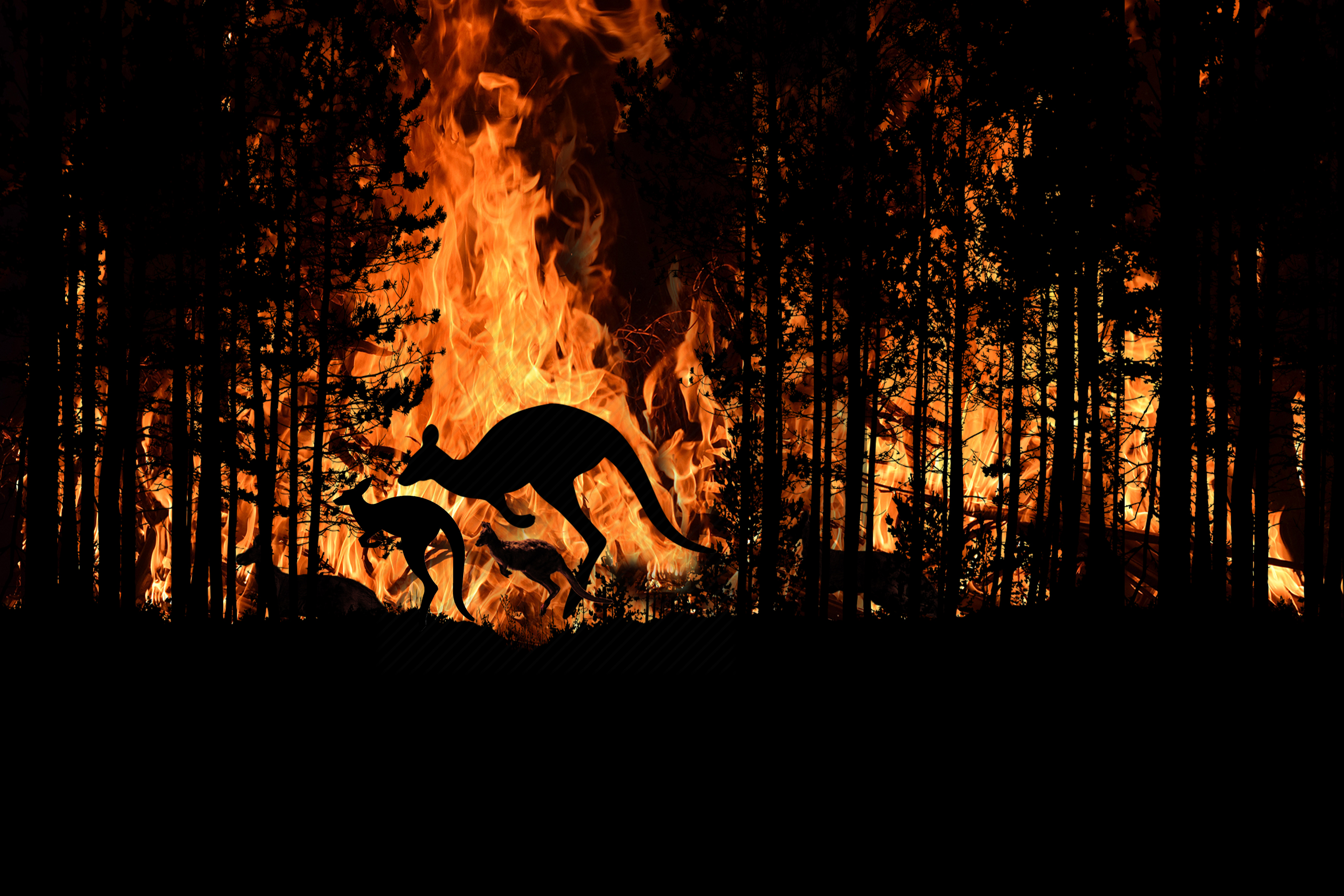 Горящий лось. Пожар в лесу и звери. Горящий лес с животными. Животные в огне в лесу. Животные в пожаре.