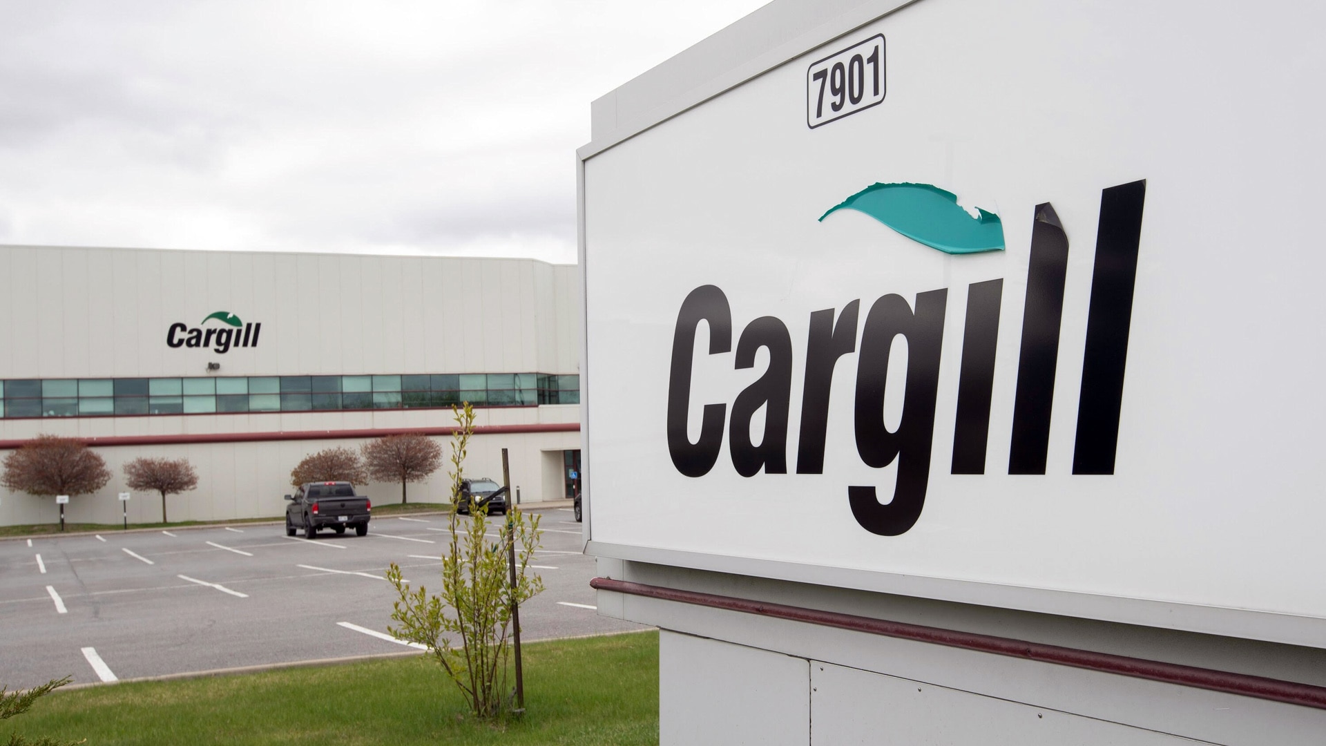 Ооо каргилл. Cargill в Америке. Уилл Каргилл. Каргилл лого. Cargill Ефремов.