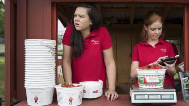Les jeunes âgés de 15 à 30 ans peuvent commencer à travailler aussitôt qu’avril 2021 - Photo : Associated Press / Karolyn Kaster