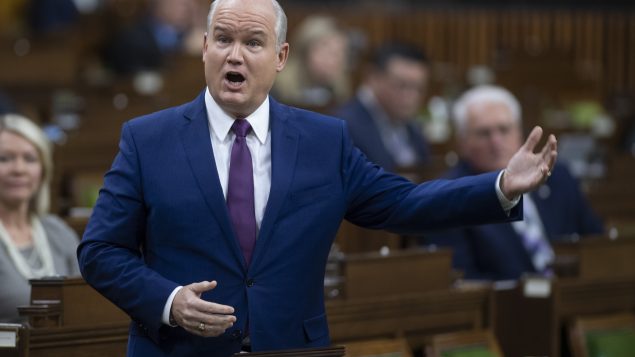 Erin O’toole s’en est pris directement aux libéraux qui sont au gouvernement en les accusant de vouloir le dépeindre comme un membre de l’extrême droite - Photo d'archives - 25.11.2020 - La Presse Canadienne / Adrian Wyld