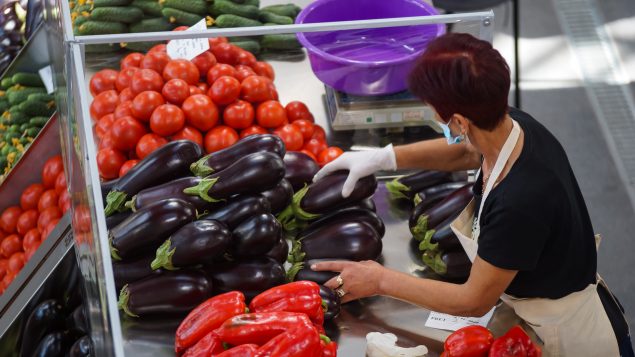 Il s’agit dans les faits de la transformation de l’institut de technologie agroalimentaire (ITA) qui existe depuis plus de 160 en un organisme gouvernemental de formation - Photo : iStock / lcva2