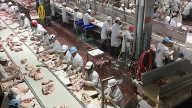 La Colombie-Britannique compte « plus de 3 000 entreprises de transformation d'aliments - Photo : Radio-Canada