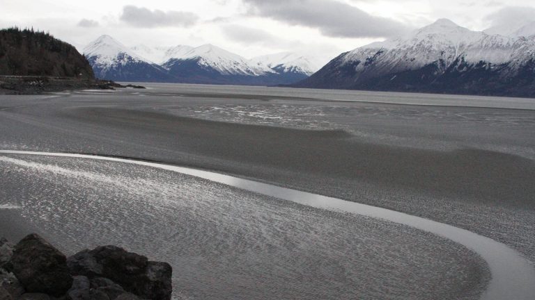 Hydrocarbures : des groupes environnementaux veulent stopper la vente de baux au large de l'Alaska