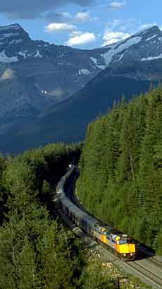 Via Rail train making its way through forests overlooked by mountains between Jasper, Alberta and Vancouver, British Columbia. (Via Rail/Canadian Press) 