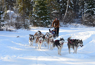 El trineo tirado por perros tiene, cada vez más, adeptos en Canadá. Éric Forget, propietario de Chenil du Chien-luop (Perrera de los perros lobo). (Radio-Canada/Jean-François Bélanger) 