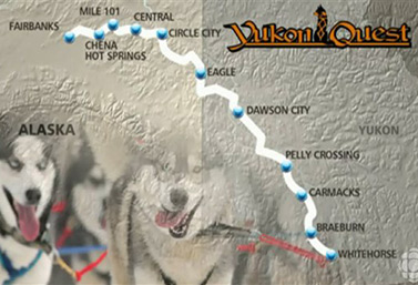 Yukon Quest, entre Whitehorse, Yukon y Fairbanks, Alaska, es reconocida como la carrera más difícil del mundo para trineos tirados por perros. Son 1600 kilómetros de hielo, nieve y adrenalina. (Radio-Canada/Jean-François Bélanger) 